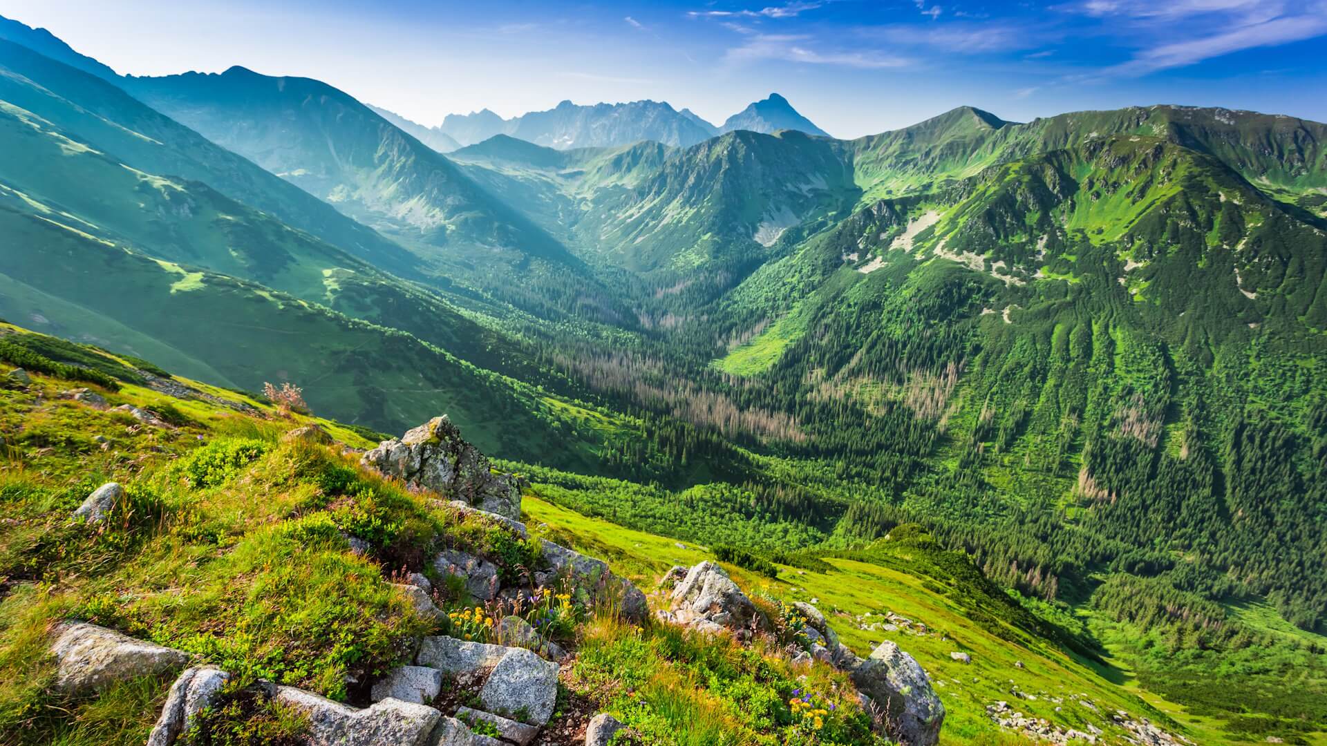Nature 1920X1080