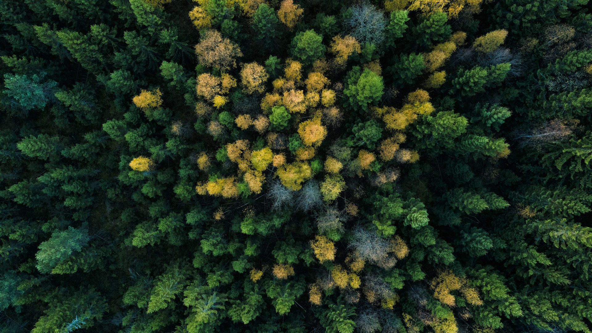 Sustainable Development 1920X1080